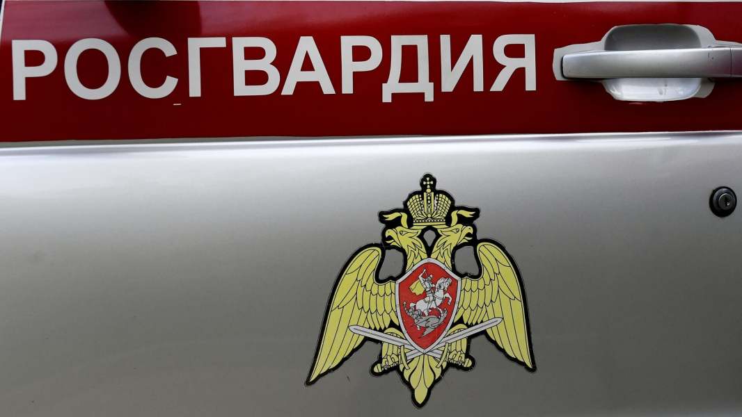 В Черниговской области уничтожили станцию Starlink, используемую ВСУ